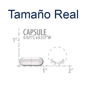 Advanced Lipid Control