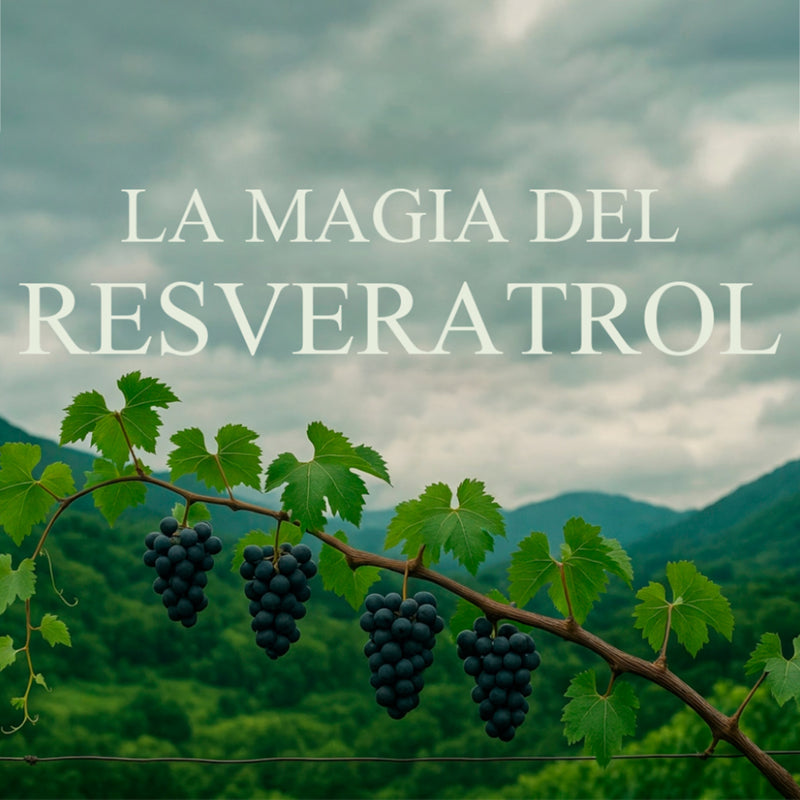Resveratrol Elite
